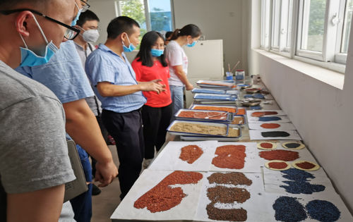 Latest company news about 産業・大学・研究基盤 チェンデュー工科大学材料学部 中国広東建築材料と全面的な協力